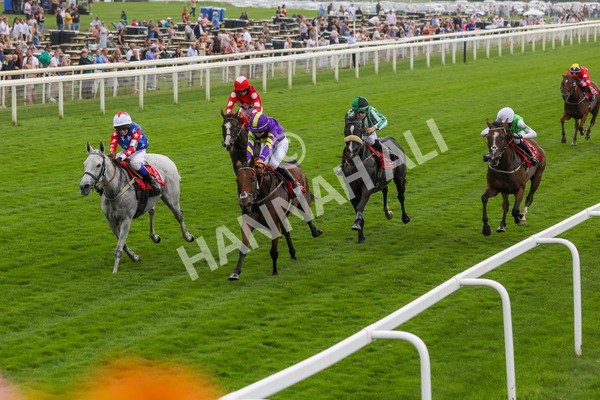 100923-Pony Race 2-3707 - Pony Race 2 12.45 The Dragon (TV and Film) Studios Pony Race 148cm & Under