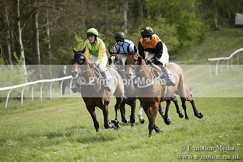 PtP 170417 290 - Old Berks Point-to-Point Lockinge 17/04/17