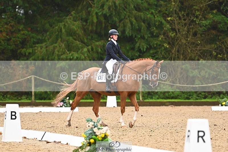 231021-104955-14728 - 333-BOLEYBAWN.DASSETT.CRUISE-Izzy.Hall-DR