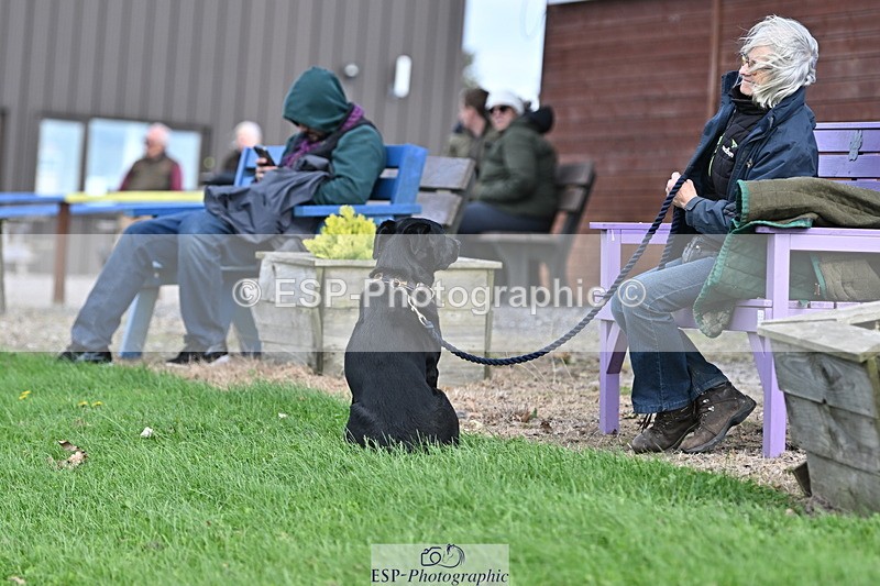 241005A-124601-03822 - SAT Cls 18 1.05m Amateur Quali