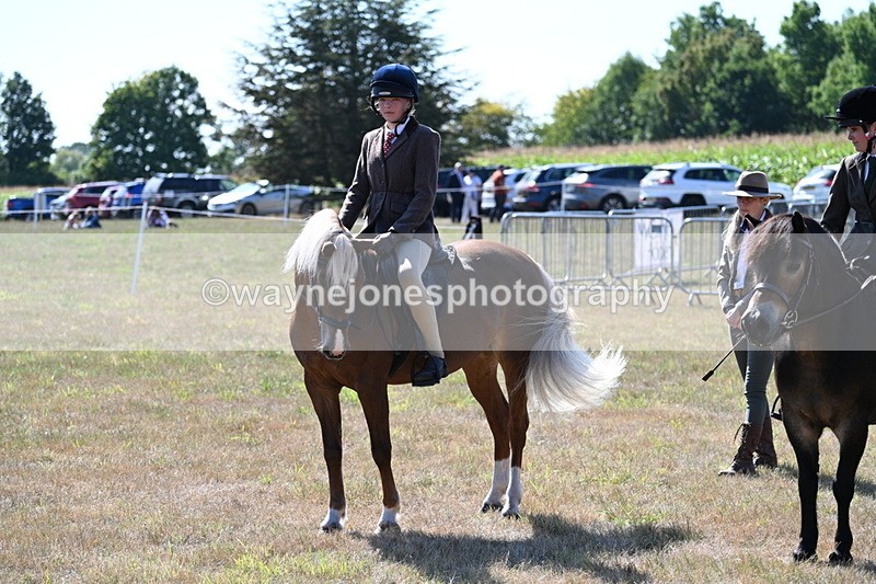 WJ7_3981 - Class 9 Mountain & Moorland Ridden