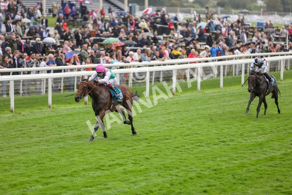 080924-Race 1-Windlord-4336 - Race 1 1.40pm British European Breeders Fund Novice Stakes