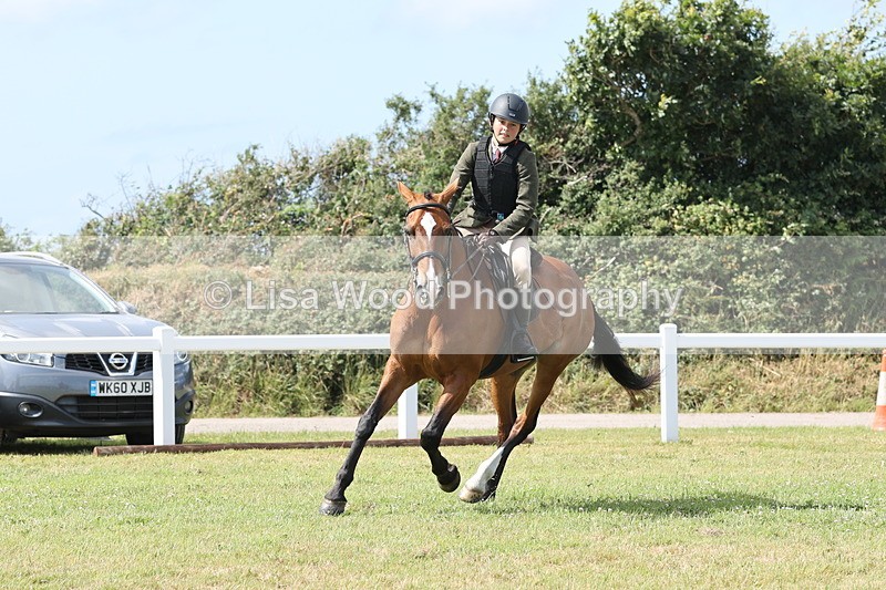 JPP_2371 - Class 19: Working Hunter 60cm