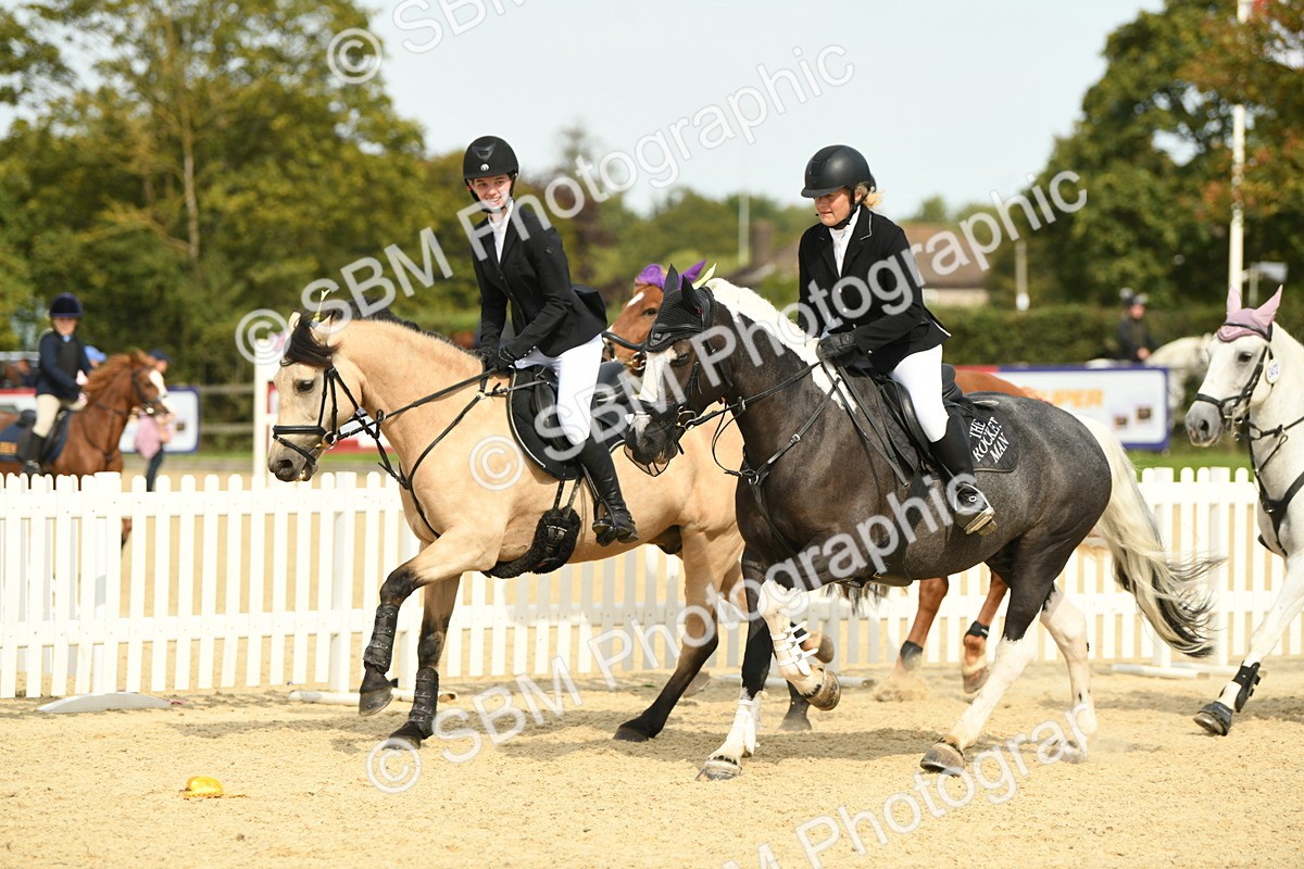 SBM_65312 - J48 - Pairs Jumping Open 70cm & 85cm