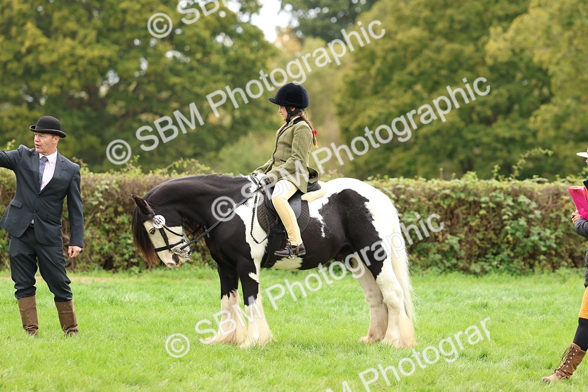 SBM_64551 - S58 - Coloured Pony Ridden
