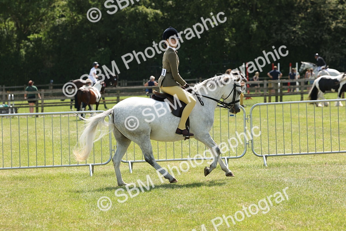 SBM_06736 - Class 26-30 - Mountain and Moorland Ridden