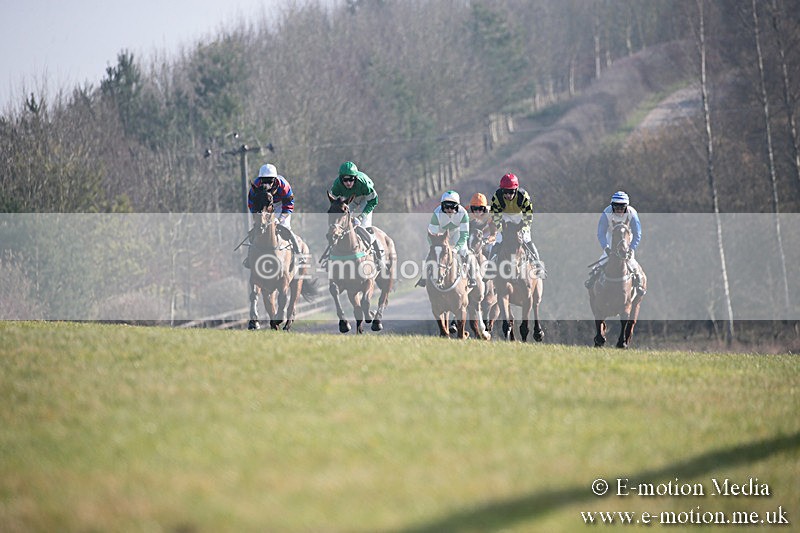 PtP 230219 321 - Vine & Craven Point-To-Point - Barbury 23/02/19