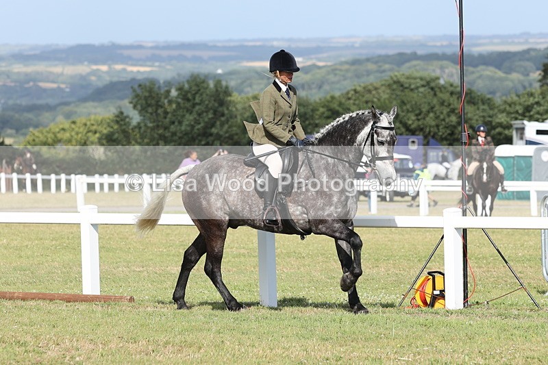 JPP_2888 - Class 20: Working Hunter 70cm