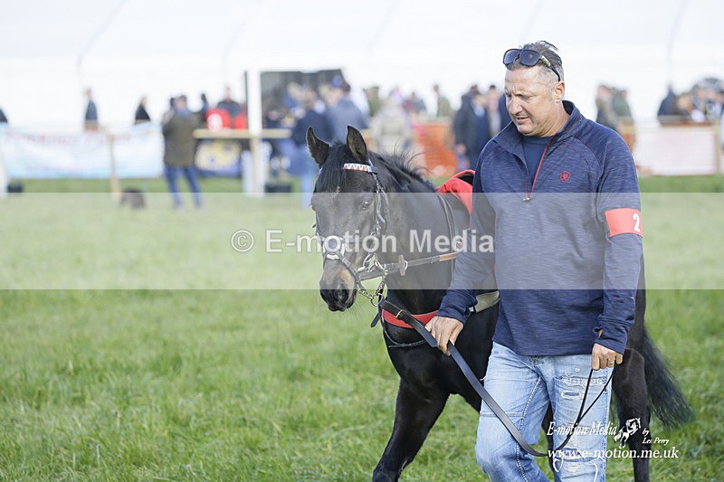 PtP 200322 493 - Mendip Farmers Point-to-Point 20/03/22