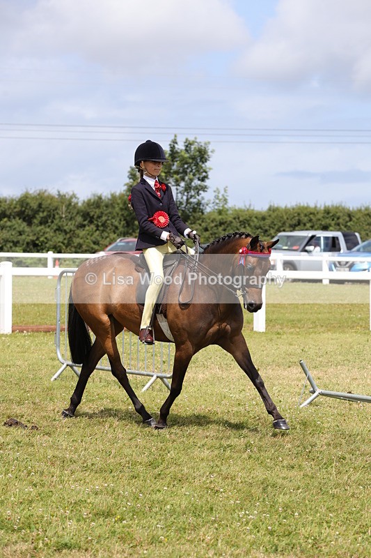 1X9A4219 - Plaited Ridden Championship