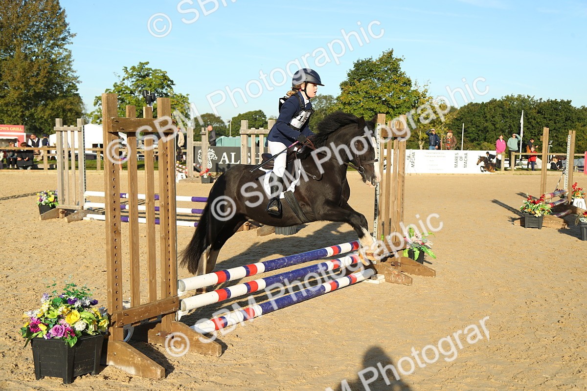 SBM_34910 - J5 - Junior Pony 50cm Championship