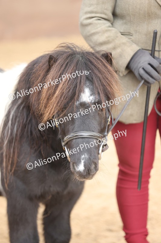 20251109-0408 - Class 15 - Coloureds