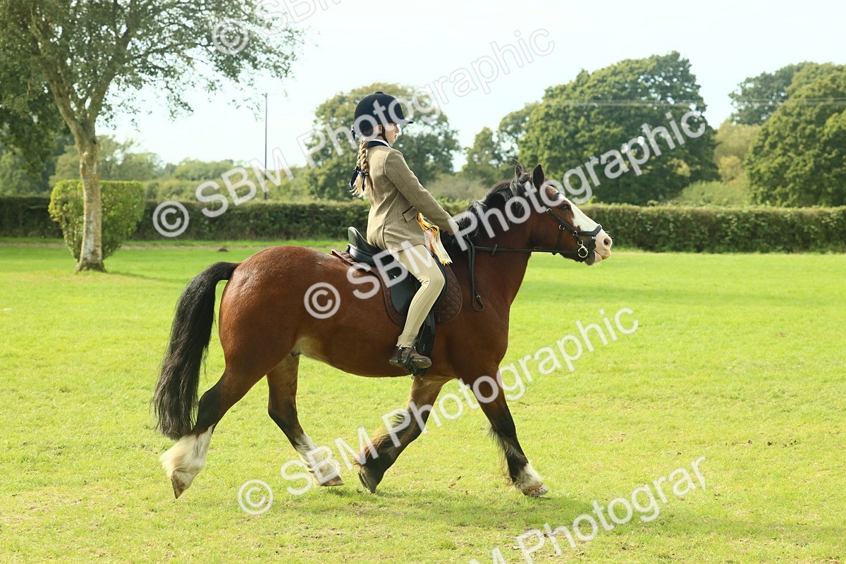 SBM_68171 - S57 - Part Bred Pony Ridden