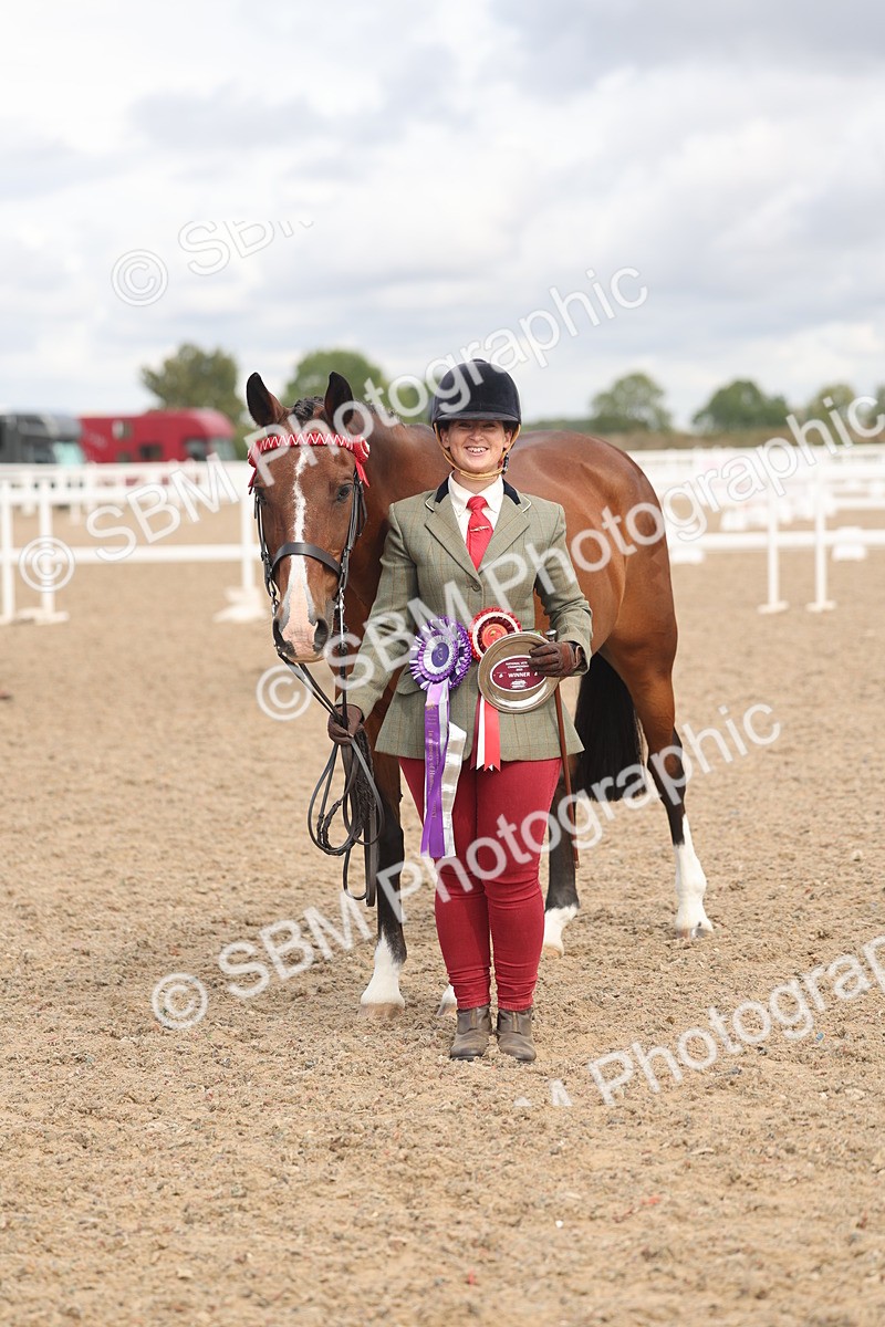 SBM_04491 - Class 18 - Handsomest Gelding (IH or Ridden)