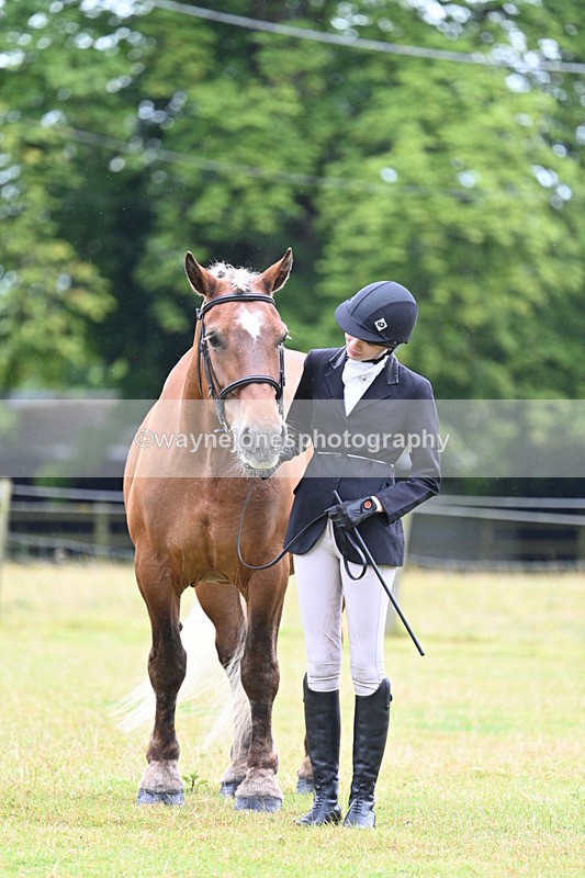 WJ7_6165 - Class 4a Prettiest Mare over 14hh