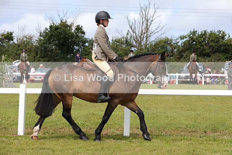 1X9A3963 - Class 32: Show Hunter Pony 153cm and under
