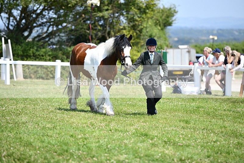 DSC_7652 - Class 64: Coloured Pony 4yrs & over