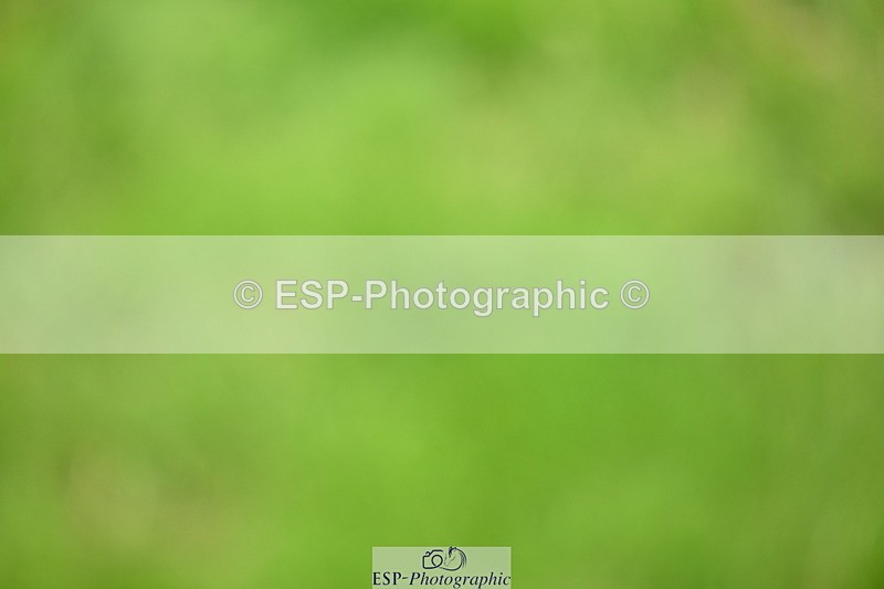 250705A-125812-14784 - Cls 30 Snr Foxhunter 2nd R Jump Offs and Presentations