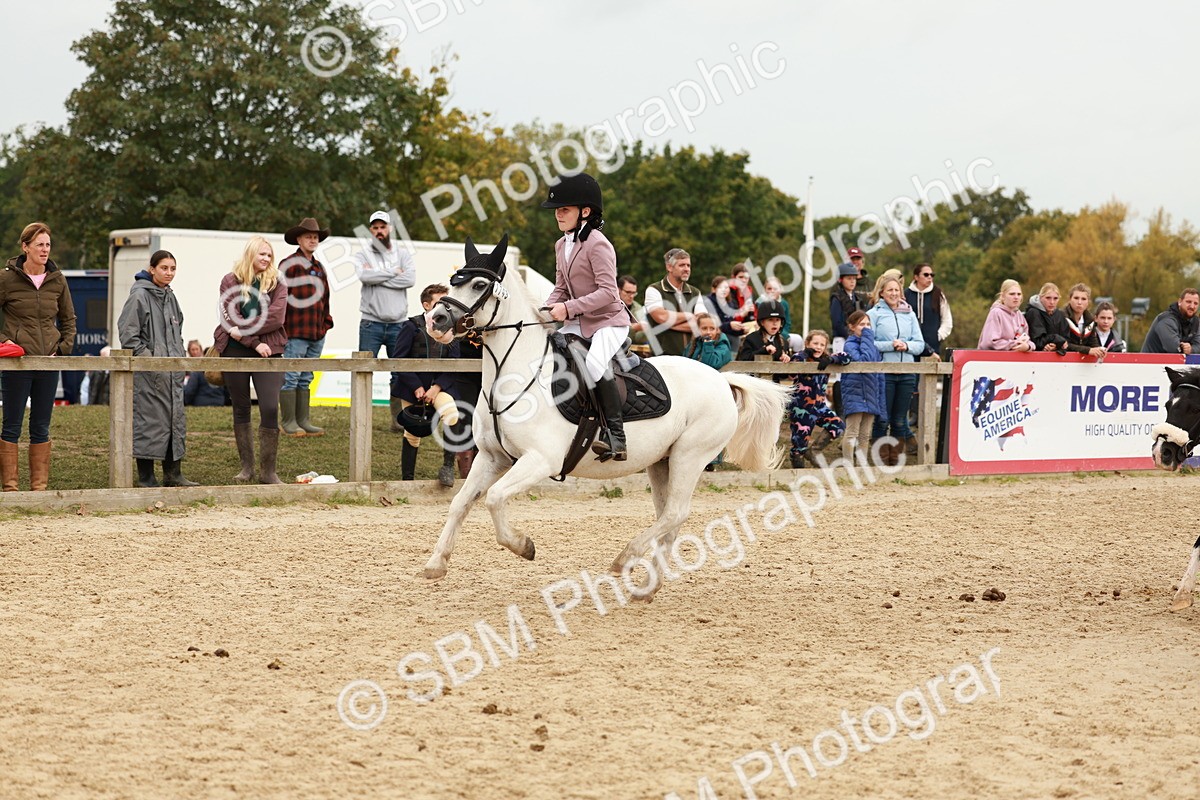 SBM_58138 - J11 - Junior Pony 50cm Championship
