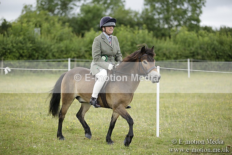 BVR160717-1354 - Ring 1 BVRC Show 16/07/17