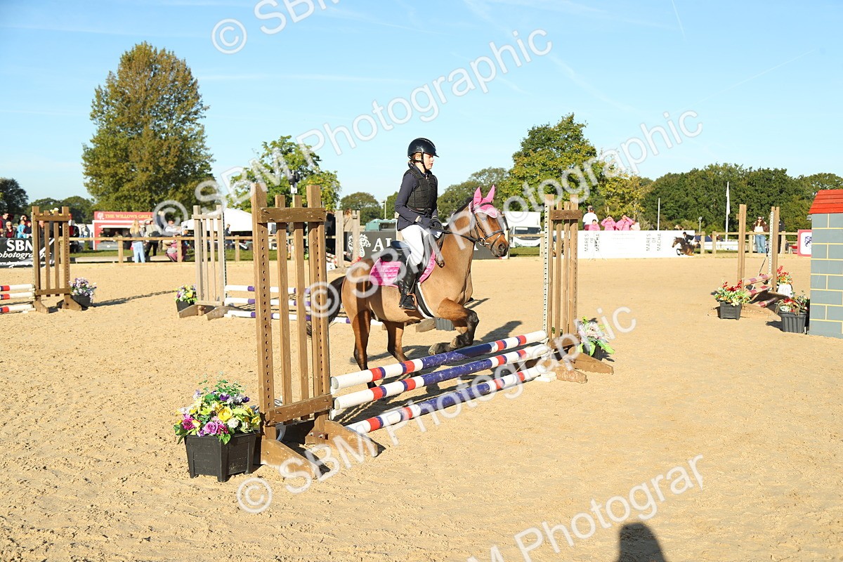 SBM_34992 - J5 - Junior Pony 50cm Championship
