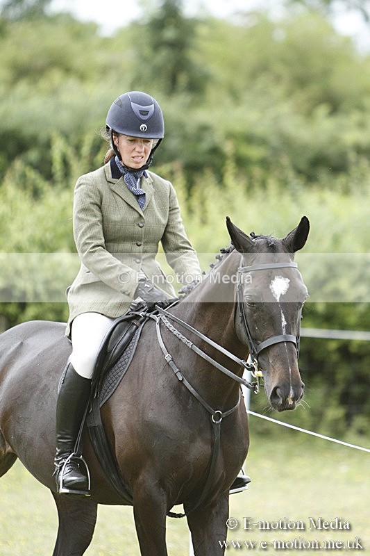 BVR160717-2218 - Ring 3 BVRC Show 16/07/17