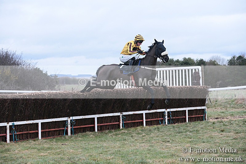 PtP 230119 154 - Royal Artillery Point-to-Point  - Larkhill  - 26/01/19