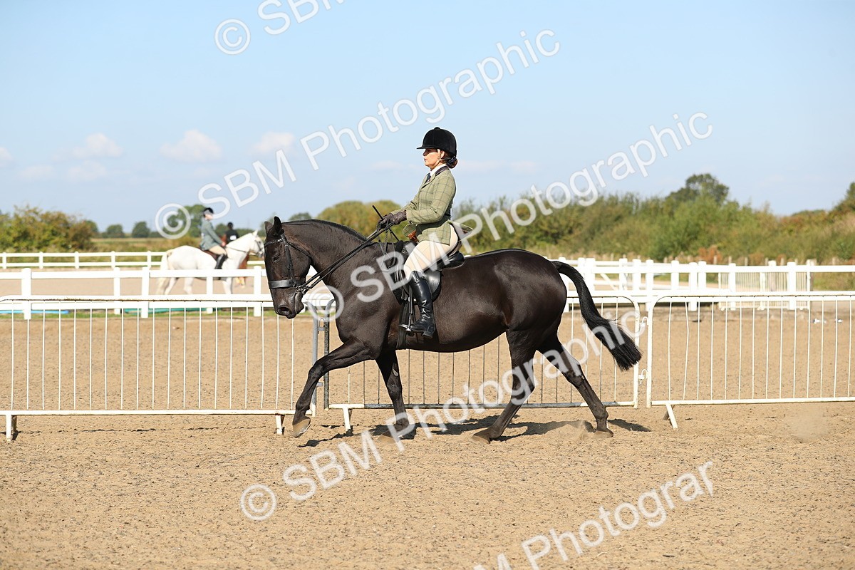 SBM_02250 - Class 43 Ridden Competition Horse/Pony