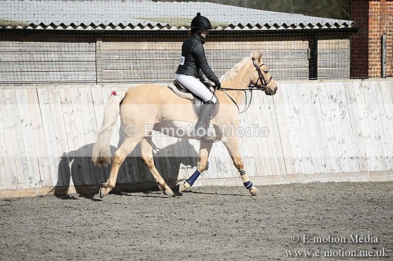 BVRC SJ 170319 344 - Bourne Valley Riding Club Showjumping 17/03/19