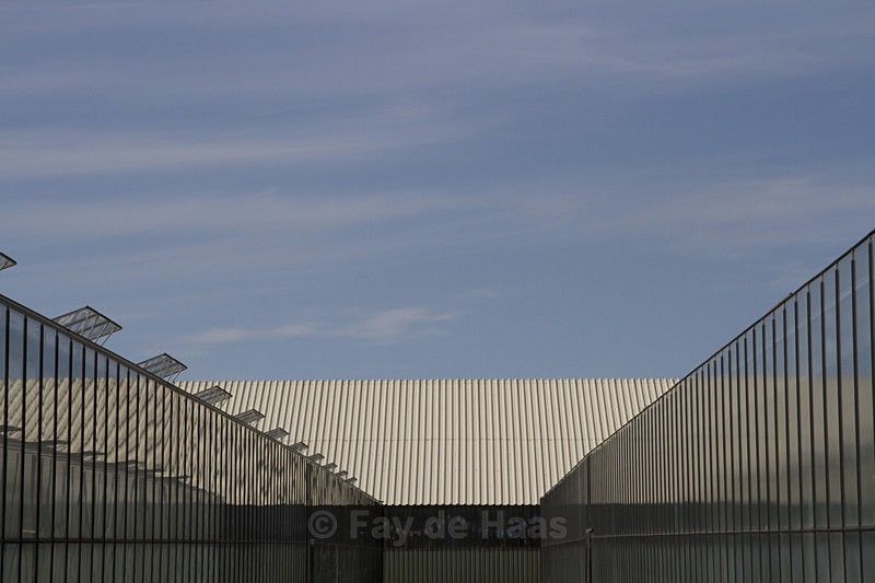  - Home in the Polder