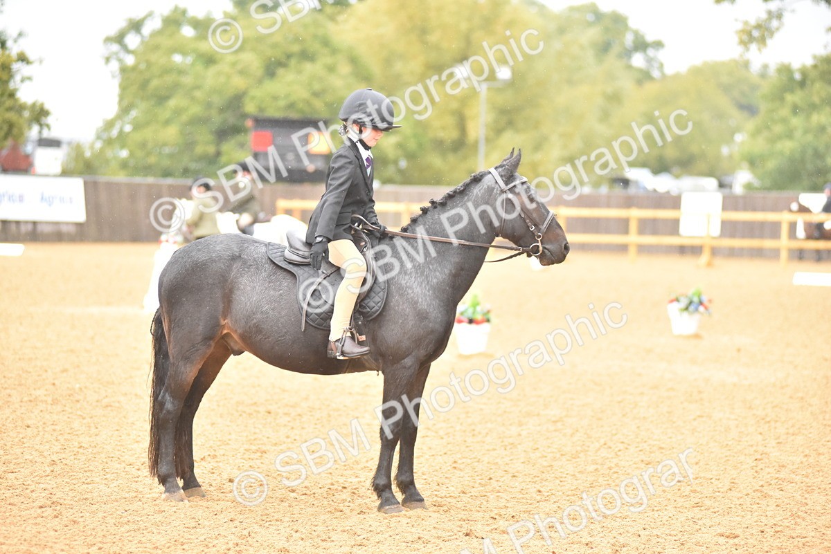 SBM_34764 - D26 & 27 Starter Test 1