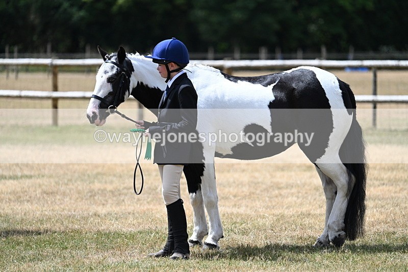 WJ7_1752 - Class 4 Prettiest Mare up to 14.2hh in hand