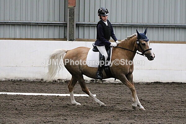 SIAL3671 - CAbin Dressage 5th july 2025