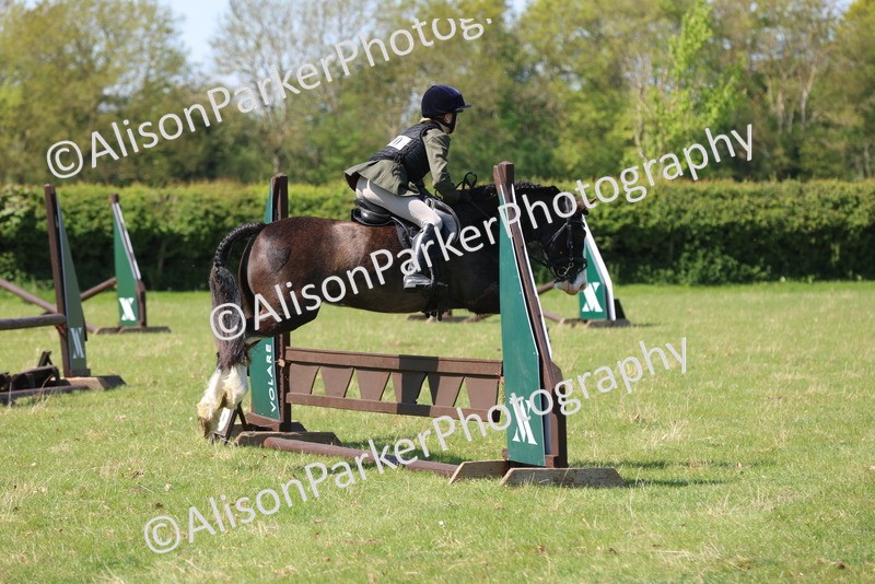 20250427-2587 - Class 20 - Working Hunter Ponies