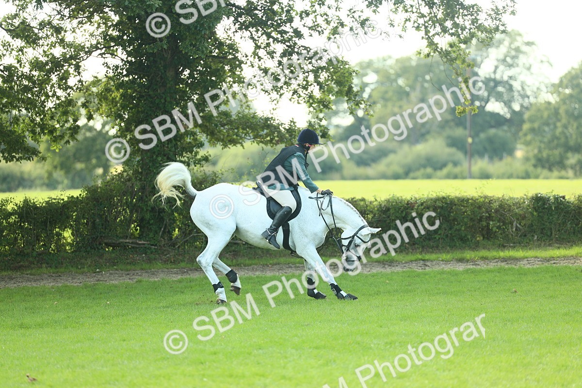 SBM_50575 - S33 - Working Hunter & Working Show Horse