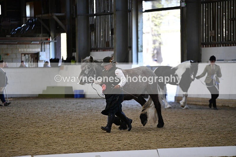 WJ5_3741 - Class 5 In Hand Veterans