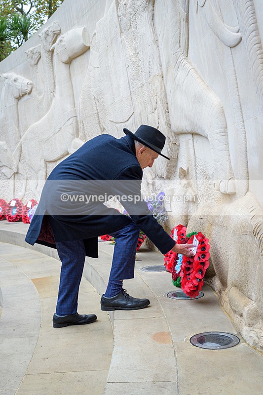 NGP_8240 - 2024 Animals in War Remembrance Gathering
