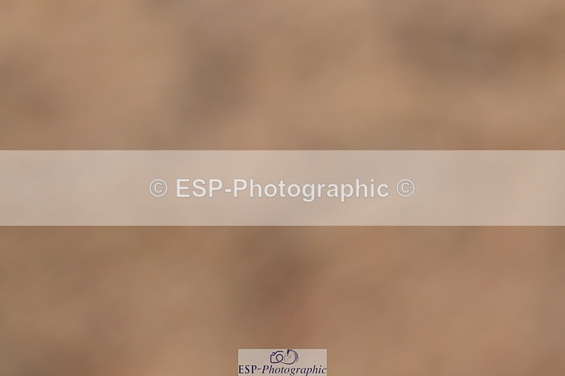 250621-164401-12142 - Cls 35 - Adv Medium 5, Start to 17.20