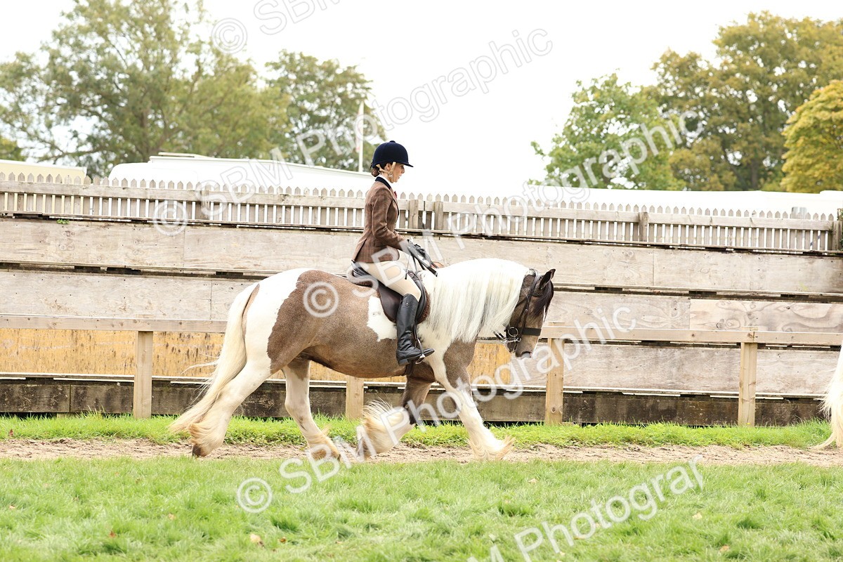 SBM_64418 - S58 - Coloured Pony Ridden
