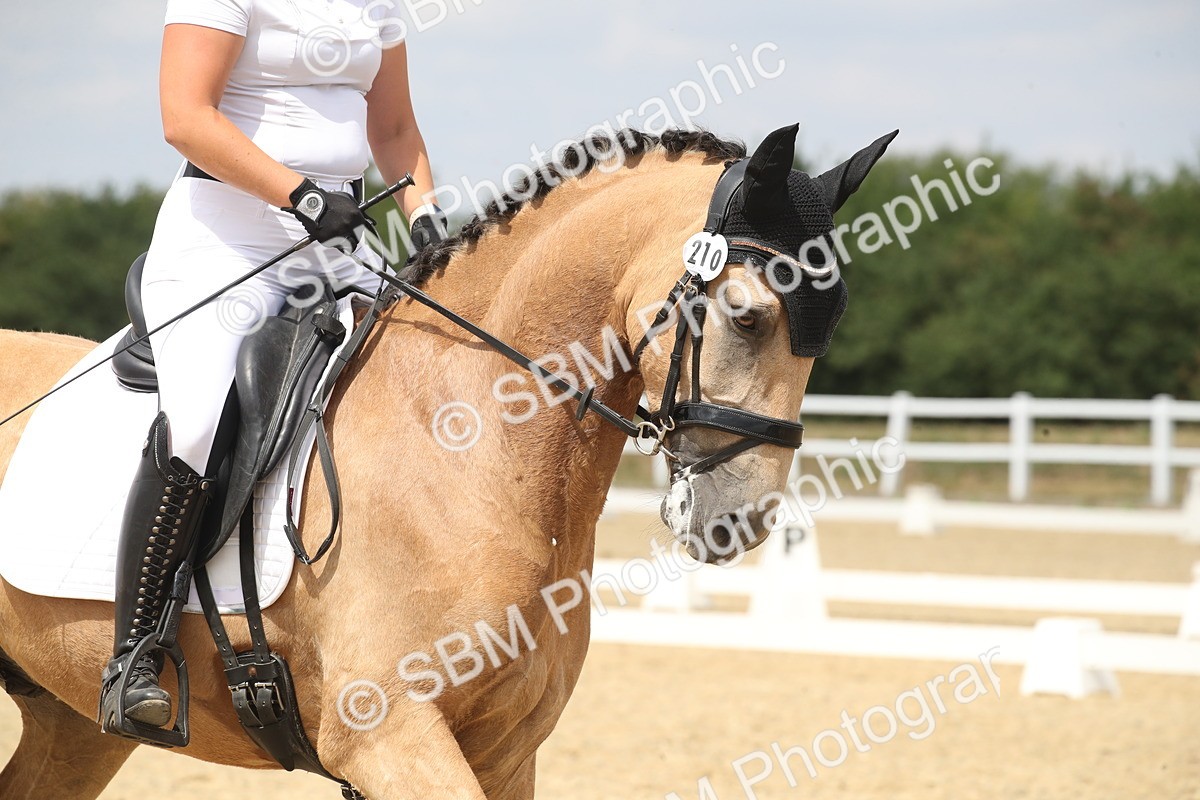 SBM_008969 - Novice 5 - 13.29-14.18