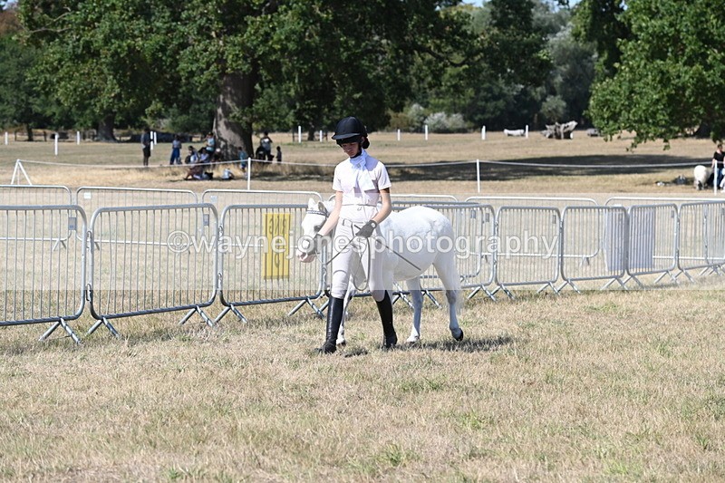 WJ6_9444 - Class 40 Cheekiest Pony/Horse