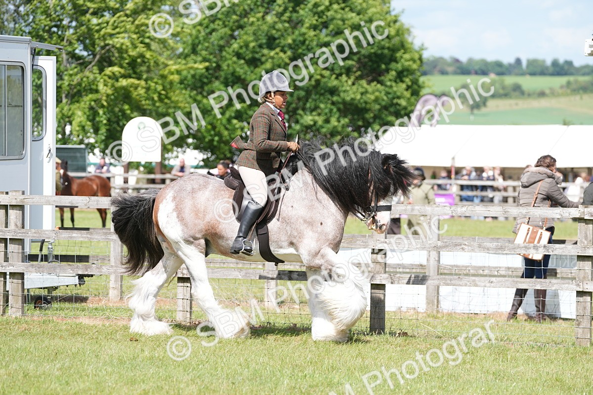 SBM_17123 - Class 107-108 - LIHS BSPS Performance Coloured Horse Pony