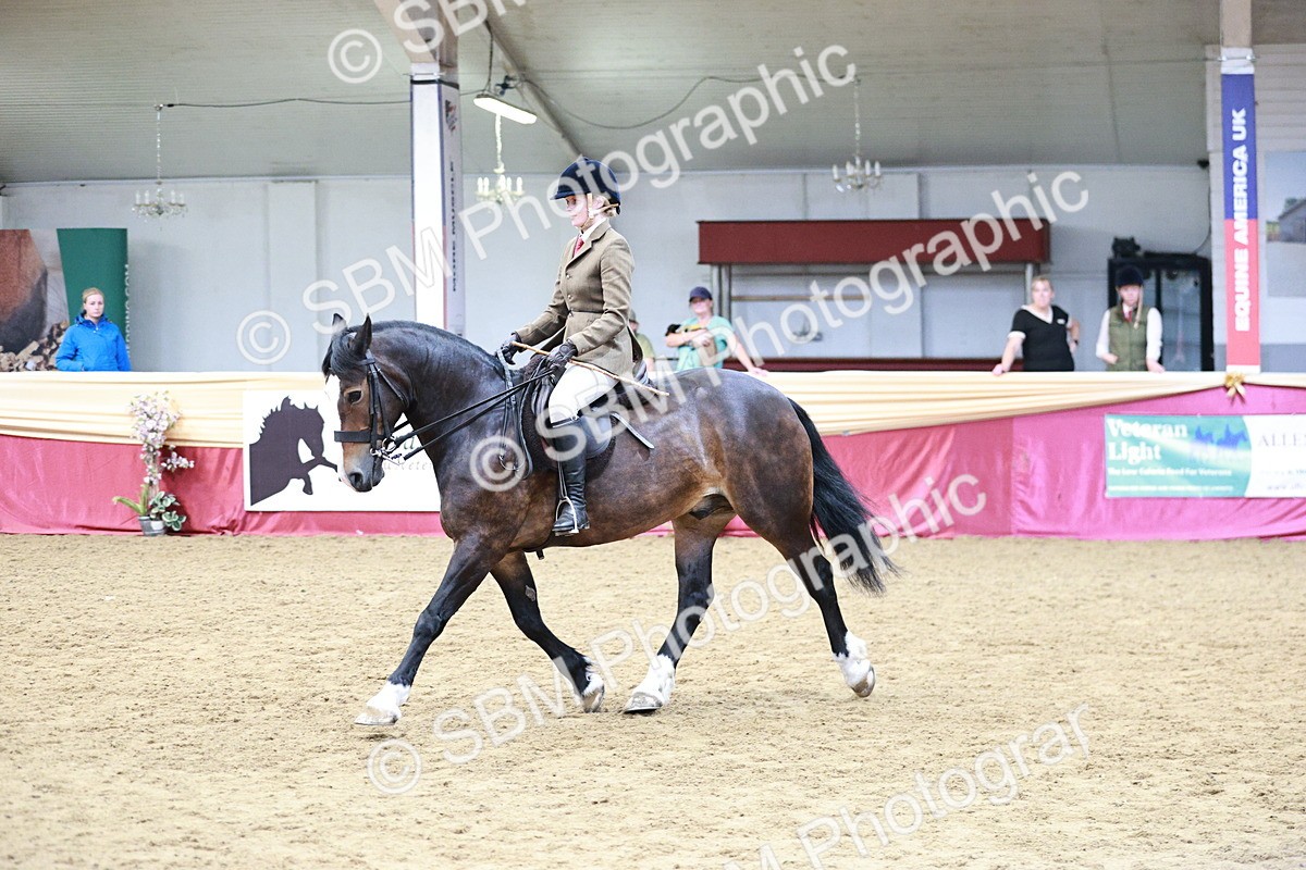 SBM_03598 - Class 6A Area Ridden Pre-Vet
