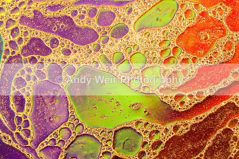 20140204-3K8A8716 - Oil & Water