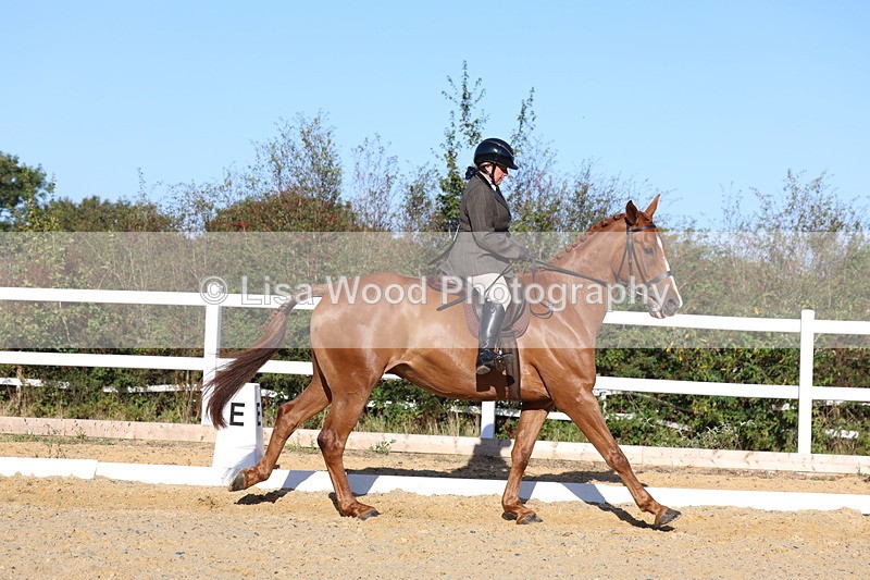 3E7A5181 - Class 7: Novice Ridden Hunter/Hack/RH/Cob