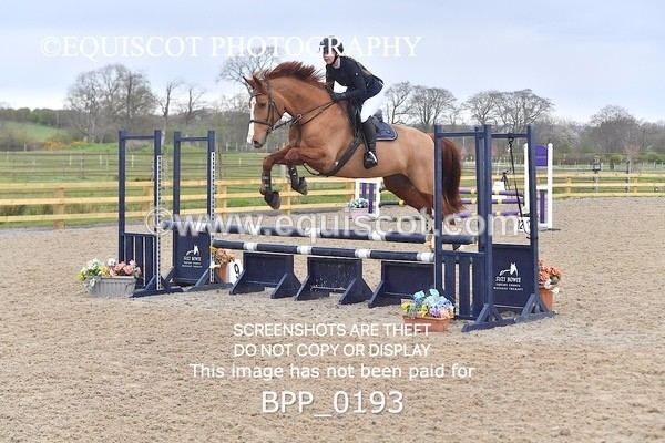 BPP_0193 - CLASS 1 FRI Club/ Unaffiliated 80cms Open