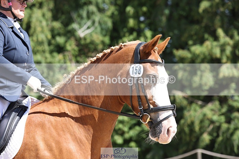 230811-133358-01827 - Cls 1 Prelim Bronze 13.30 to 14.50 break