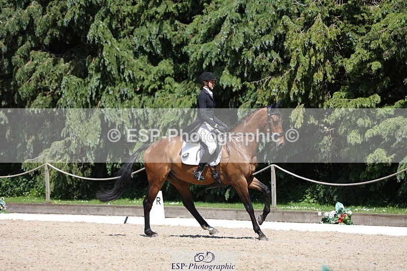 230526-142049-06504 - 373-BENGAL_LORE-Pippa_Taylor-WEDTrotUp+DR