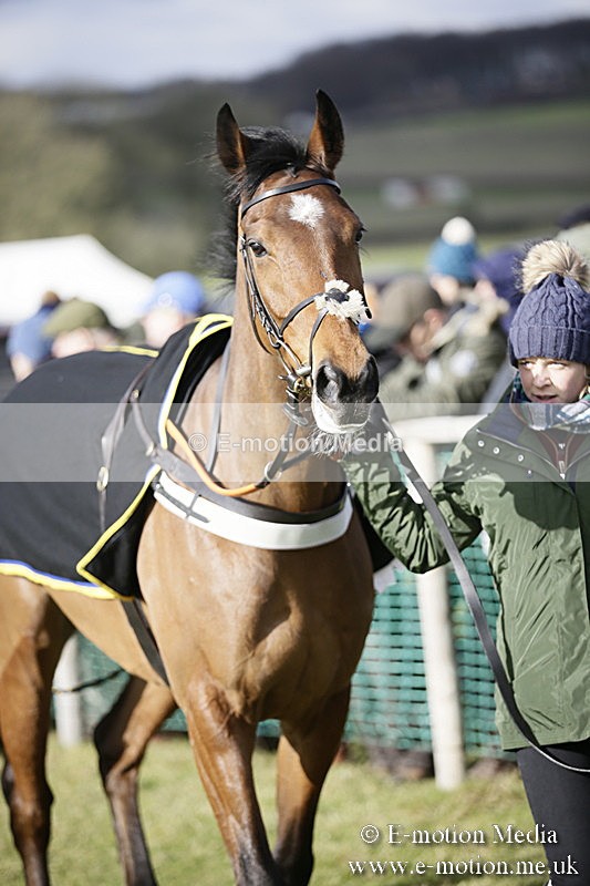 PtP 040218 13 - Point-to-Point Milborne St Andrew 04/02/18