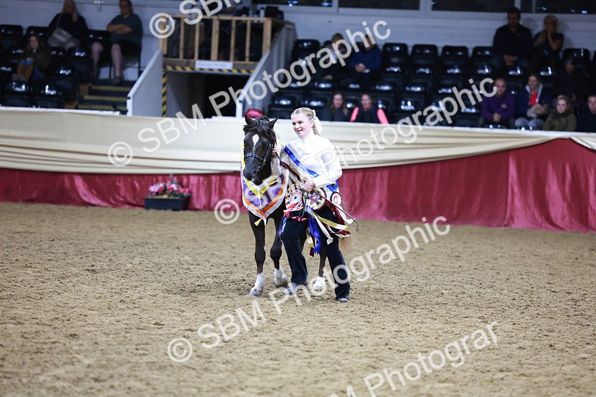 SBM_21093 - Class P - M&M Champs